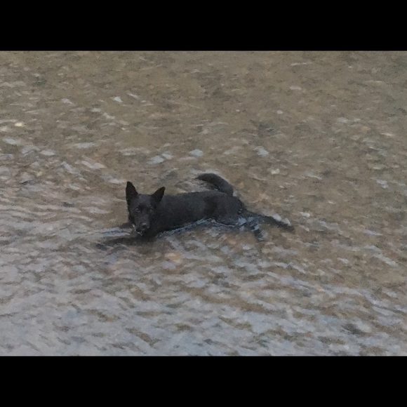 Meet your Posher, Brian - Picture 1 of 1